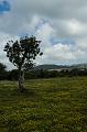 Chypre07 - 2007-03-18_11-12-20